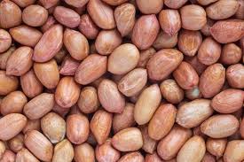 Peanuts